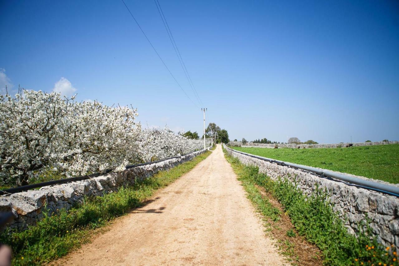 Masseria Guadiano Vecchio Santa Lucia  Εξωτερικό φωτογραφία