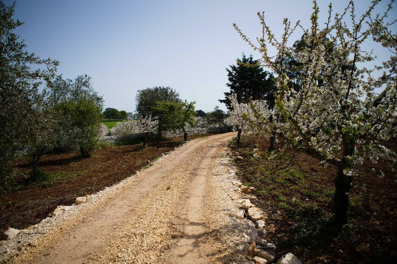Masseria Guadiano Vecchio Santa Lucia  Εξωτερικό φωτογραφία