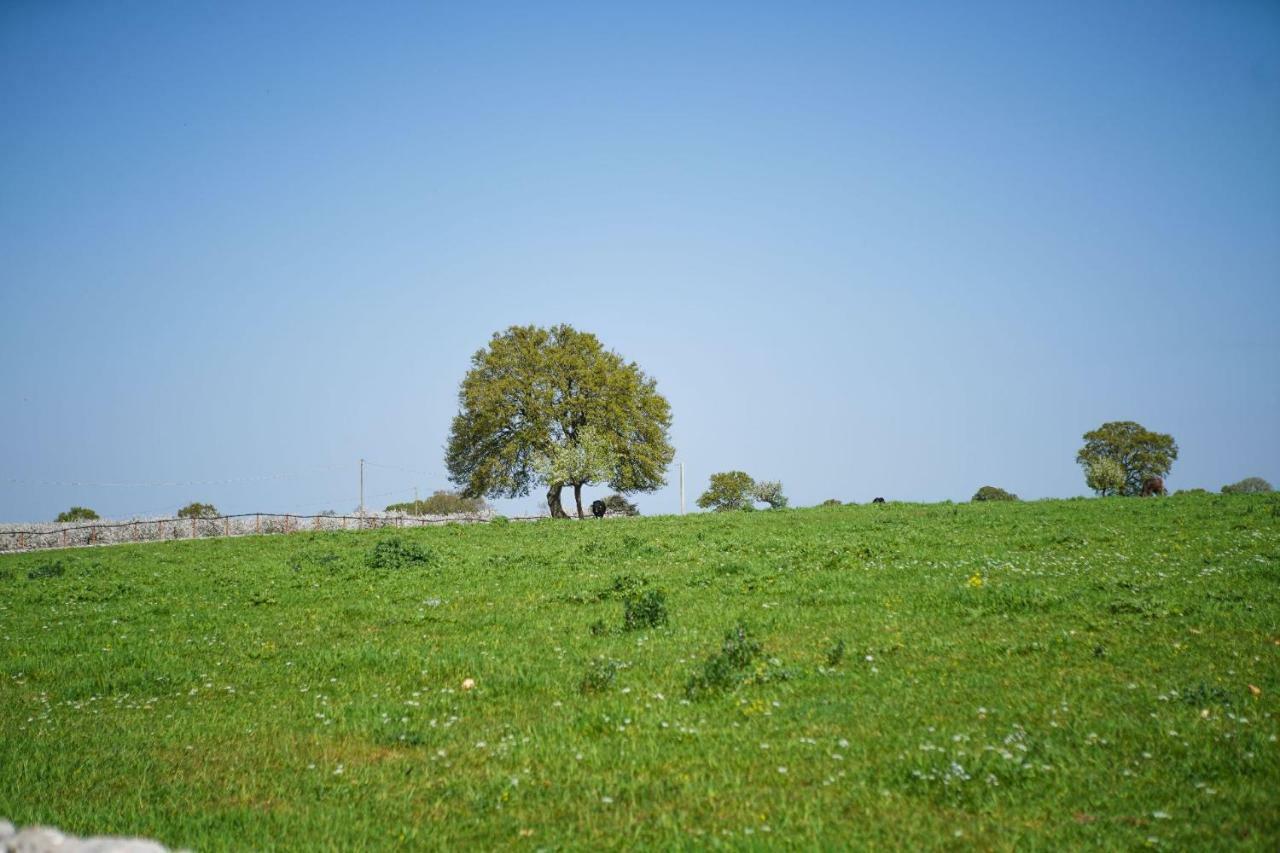 Masseria Guadiano Vecchio Santa Lucia  Εξωτερικό φωτογραφία